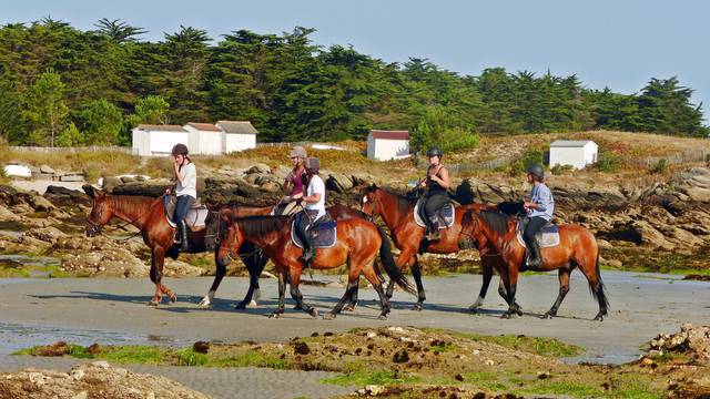 Reiten in der Reitanlage " Les Violettes" auf der Ile d'Yeu