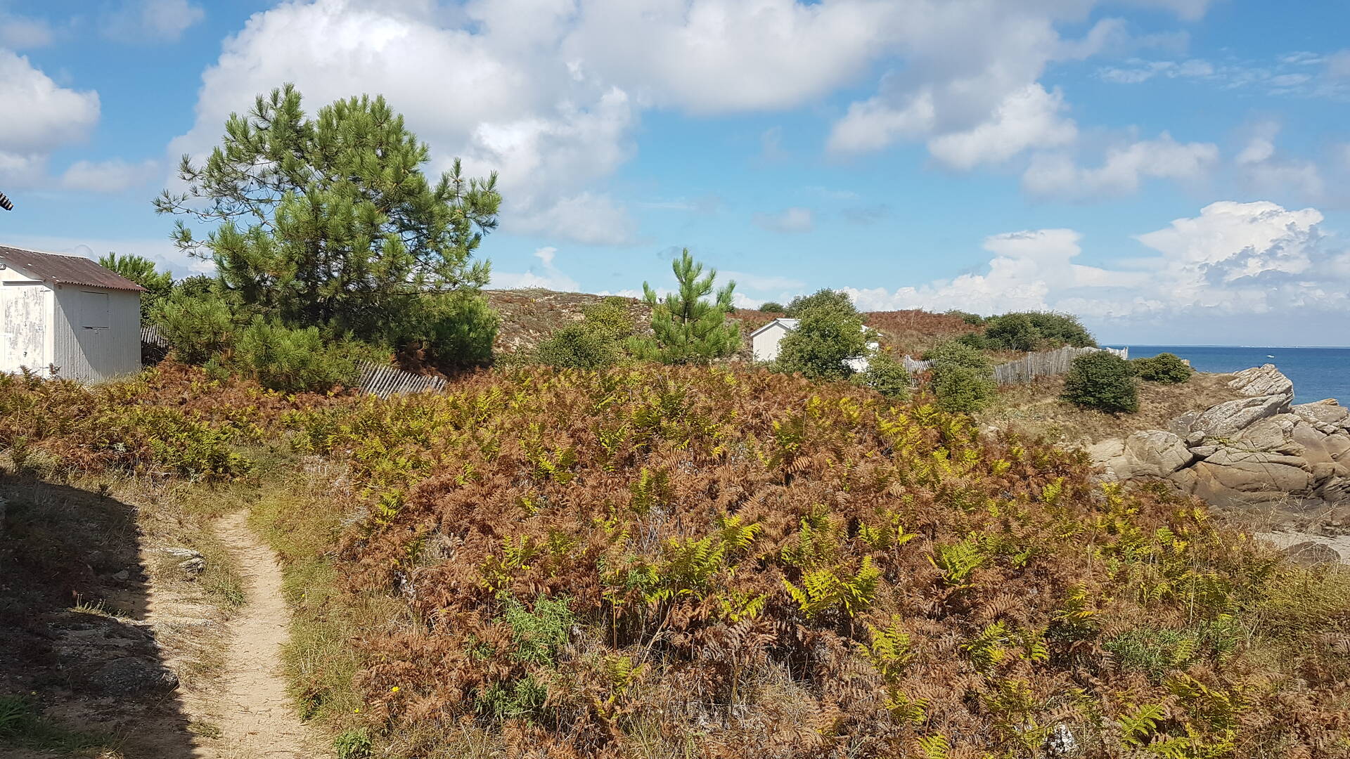 Pointe du Porteau - Le Marais Salé - L'ile d'Yeu 