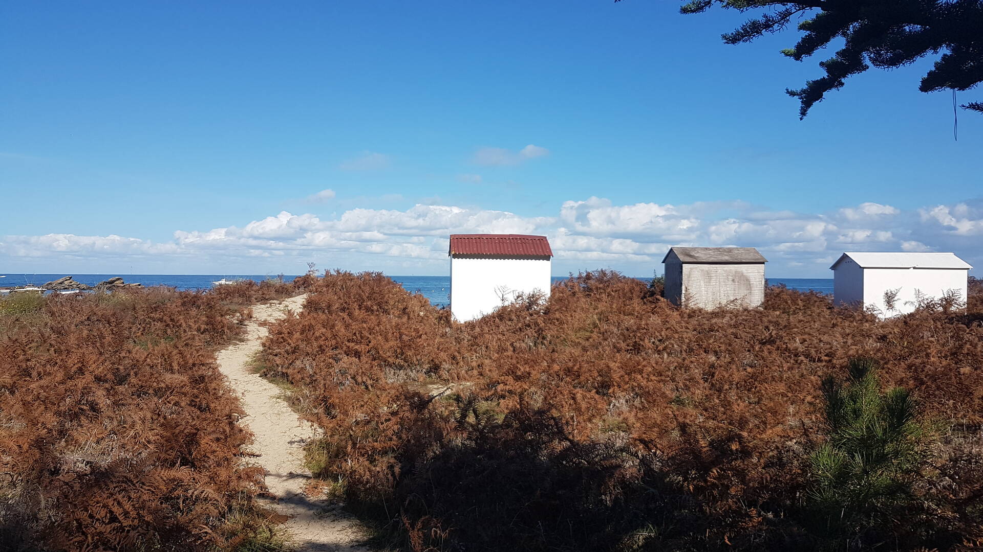 Huts of the Plage des Sapins- L'ile d'Yeu