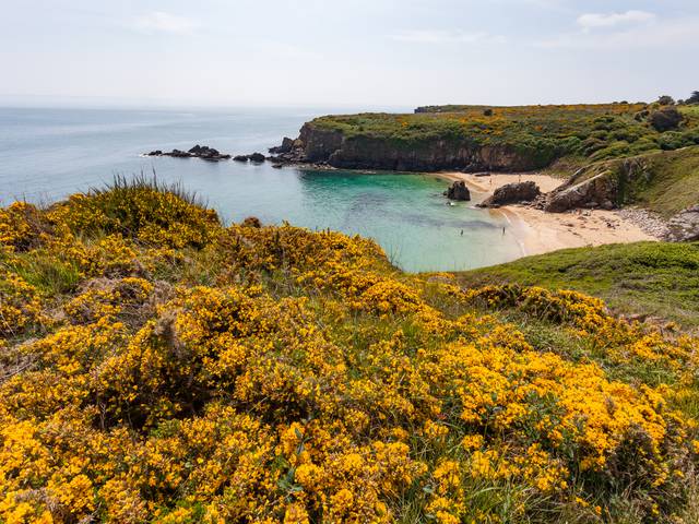 Die Plage des Soux à L'île d'Yeu