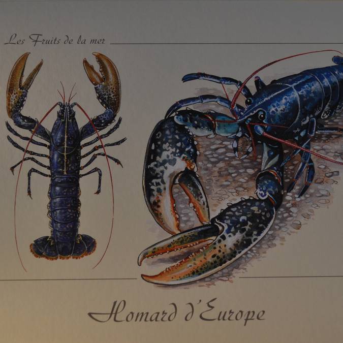 •	Postkarte  1 €