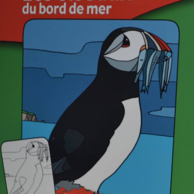 •	Male die Vögel des Meeresufers aus (3.90 €)